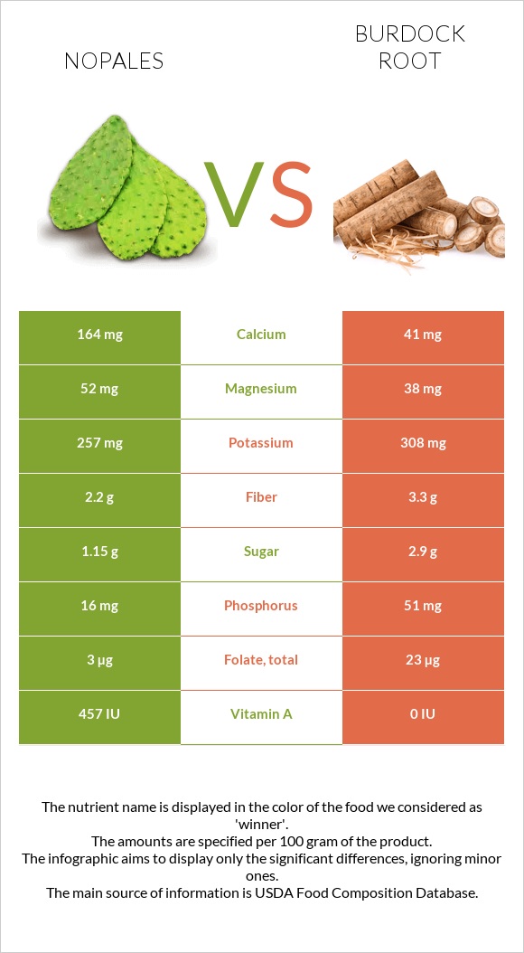 Nopales vs Կռատուկի արմատ (արկտի արմատ) infographic