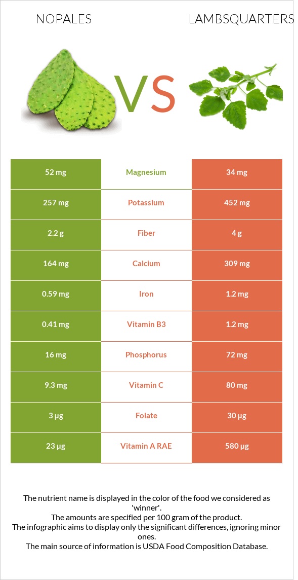 Nopales vs Lambsquarters infographic