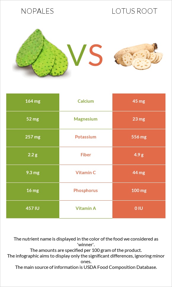 Nopales vs Լոտոս արմատ infographic