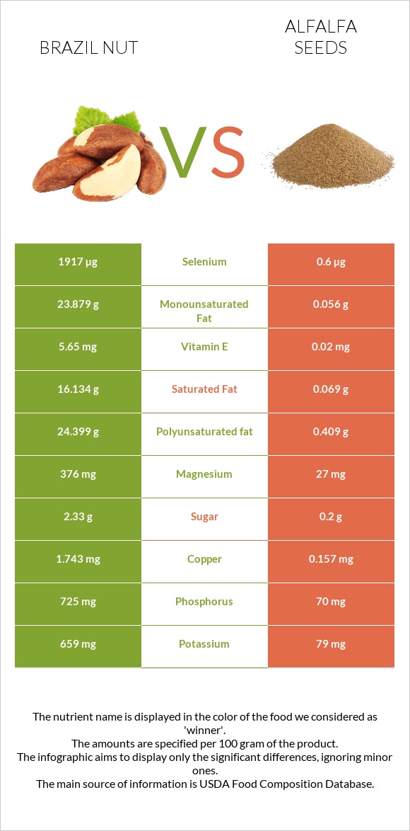 Brazil nut vs Alfalfa seeds infographic