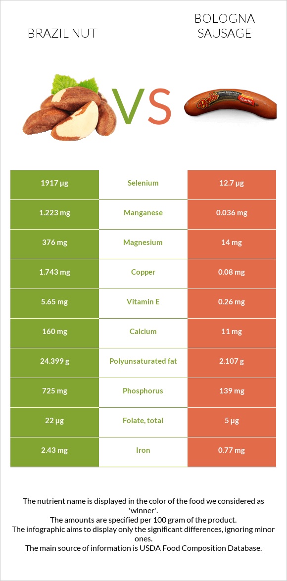 Brazil nut vs Bologna sausage infographic