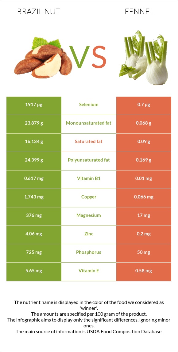 Բրազիլական ընկույզ vs Ֆենխել infographic