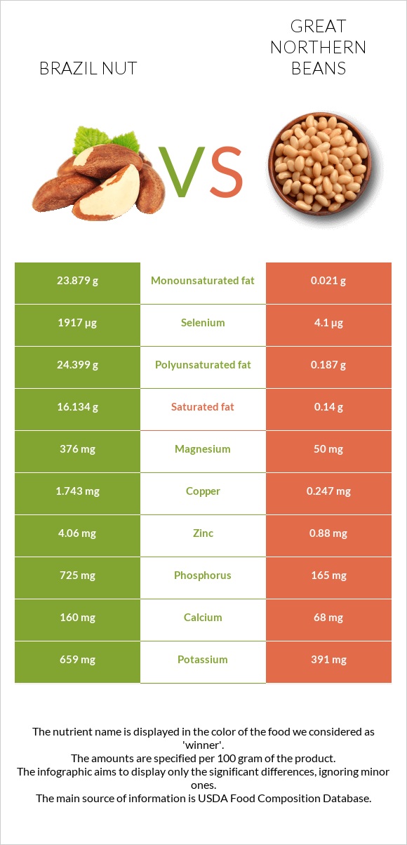 Brazil nut vs Great northern beans InDepth Nutrition Comparison
