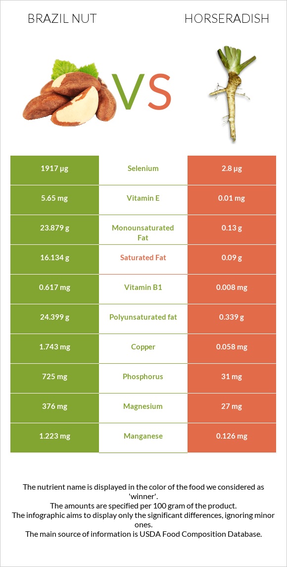 Brazil nut vs Horseradish infographic