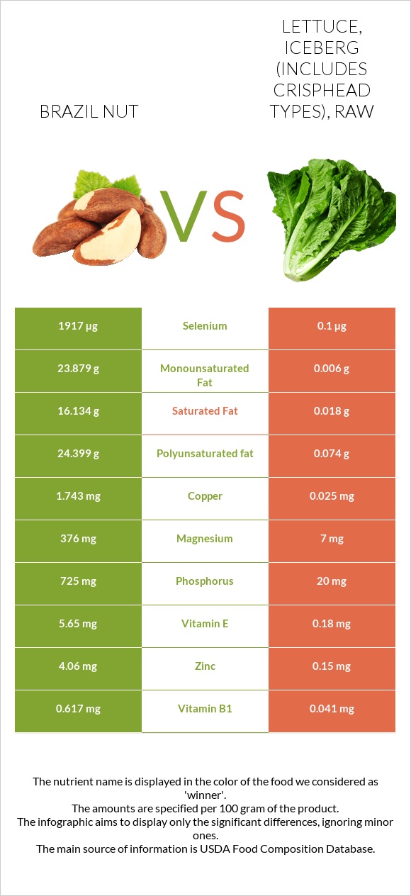 Brazil nut vs. Lettuce, iceberg (includes crisphead types), raw — In ...