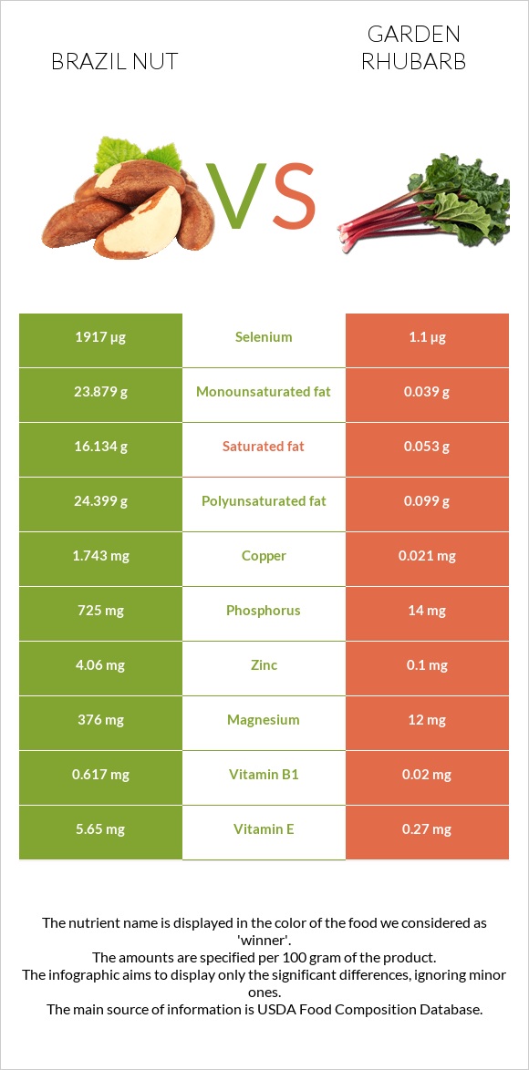 Brazil nut vs Garden rhubarb infographic