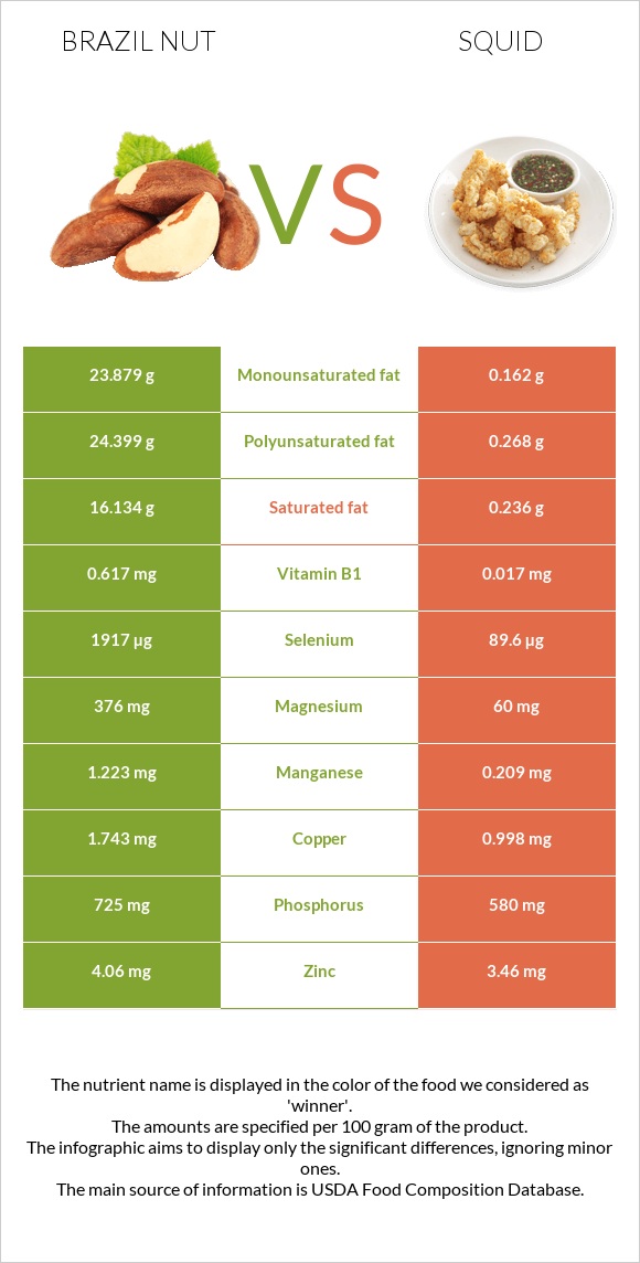 Brazil nut vs Squid infographic