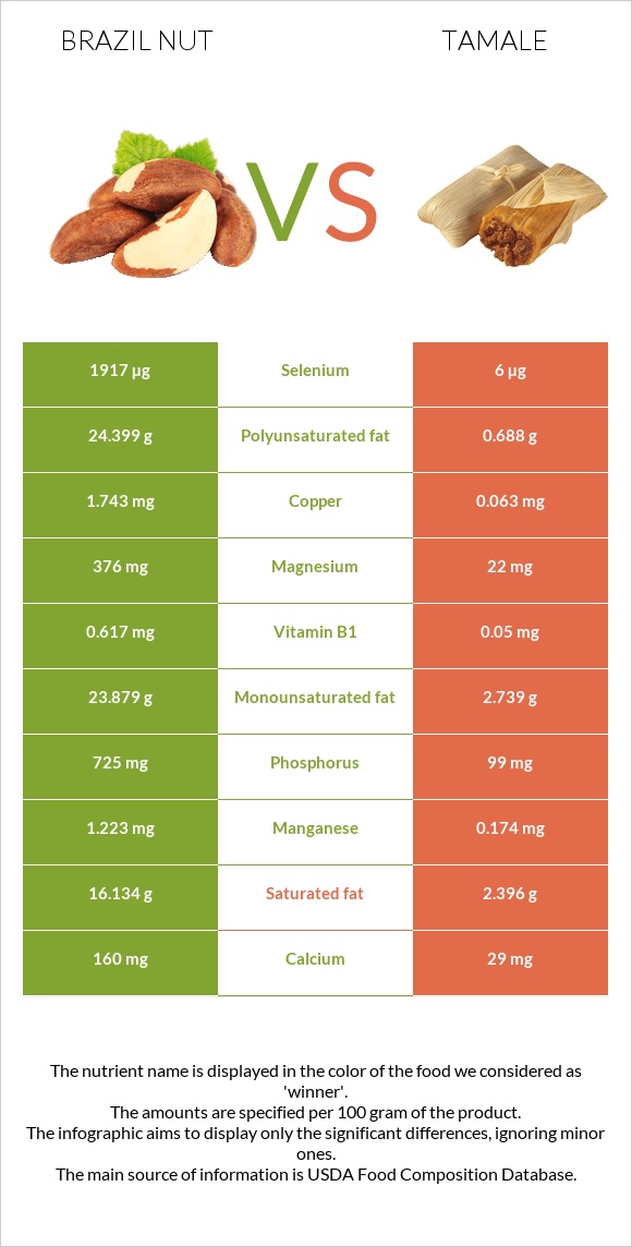 Brazil nut vs Tamale infographic