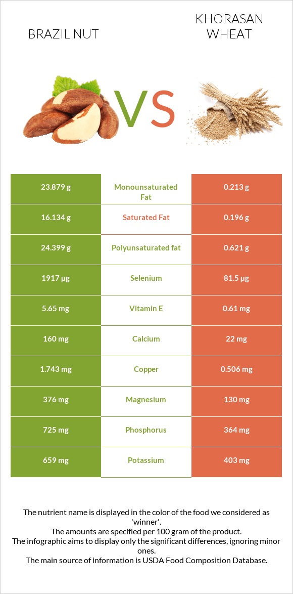 Բրազիլական ընկույզ vs Խորասան ցորենի infographic