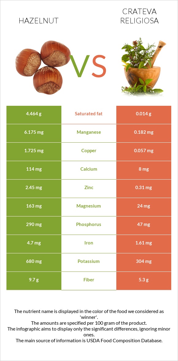 Hazelnut vs Crateva religiosa infographic