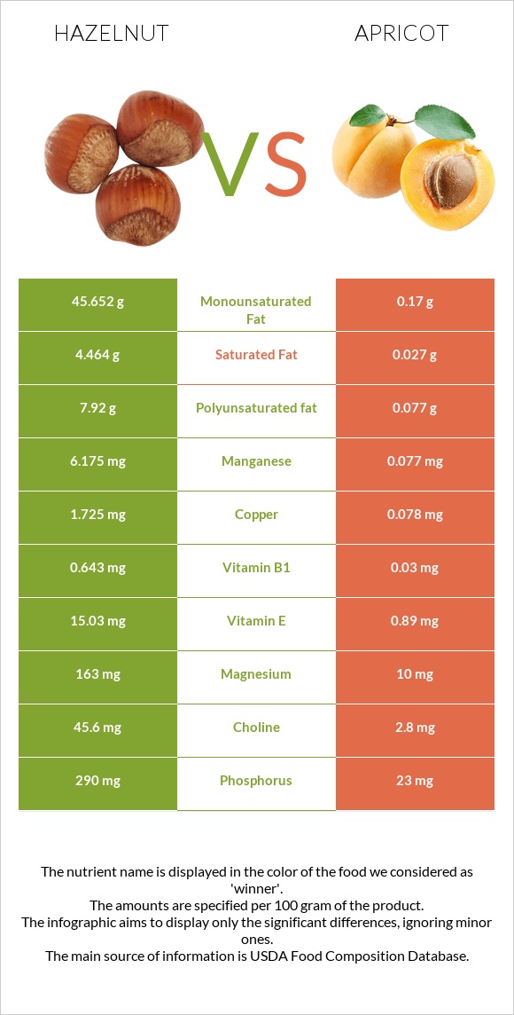 Hazelnut vs Apricot infographic