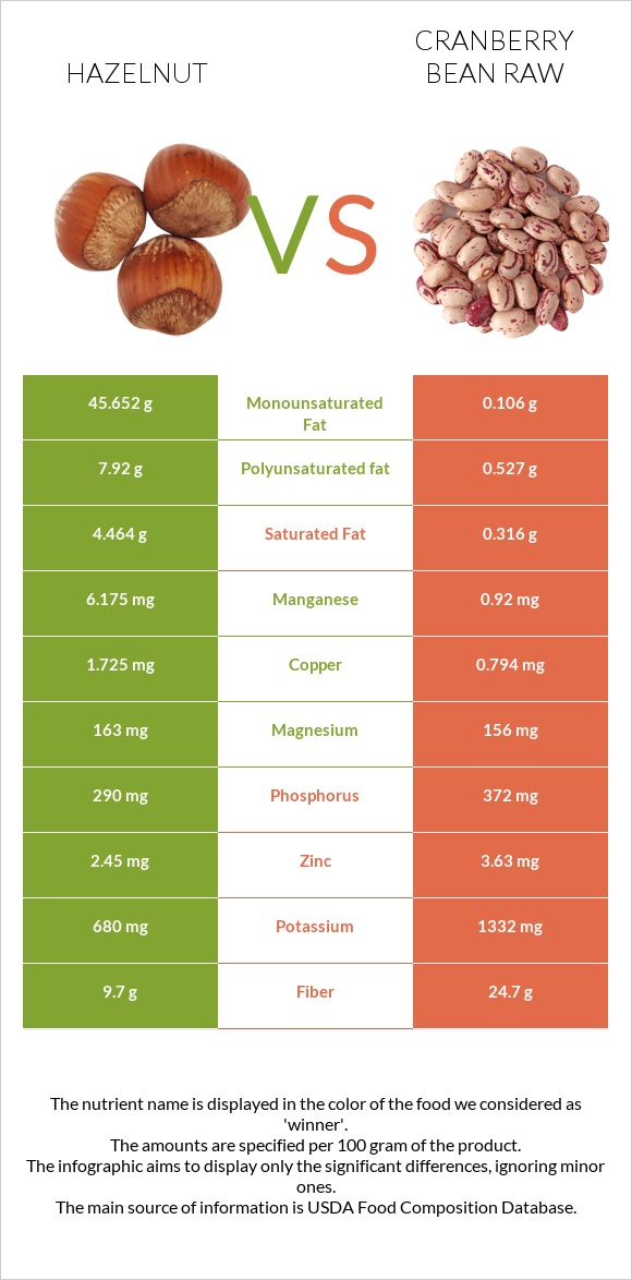 Hazelnut vs Cranberry bean raw infographic