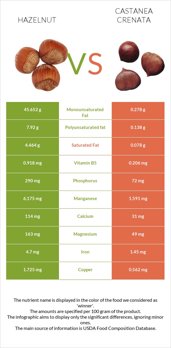 Hazelnut vs Castanea crenata infographic