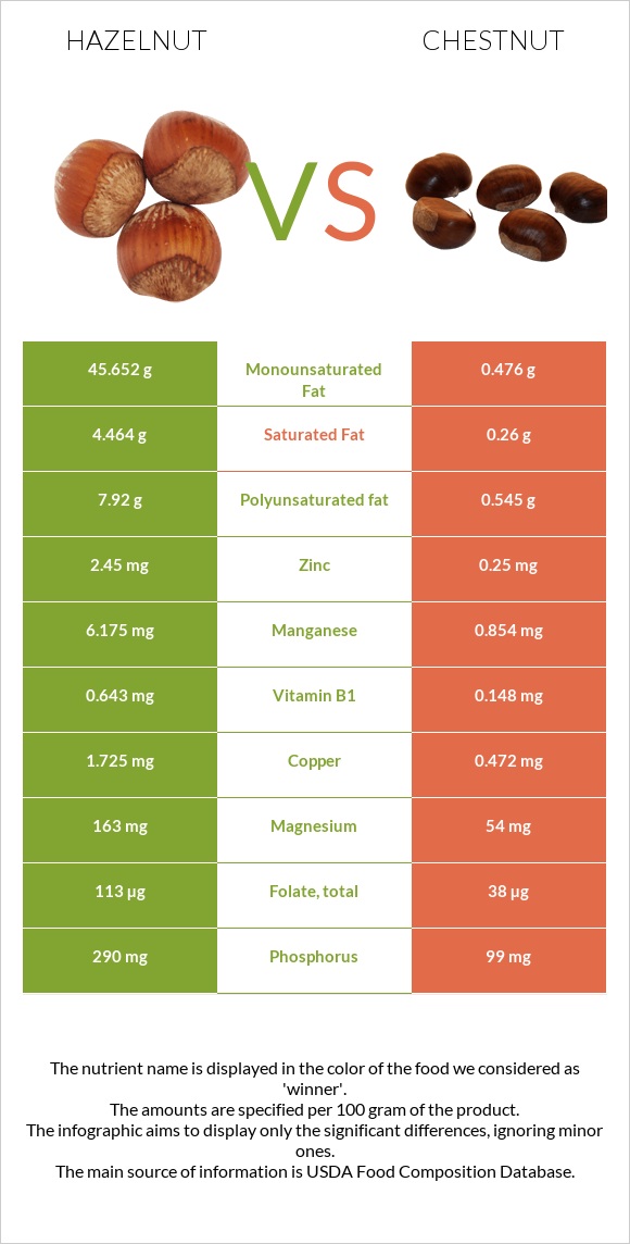 Hazelnut vs Chestnut infographic