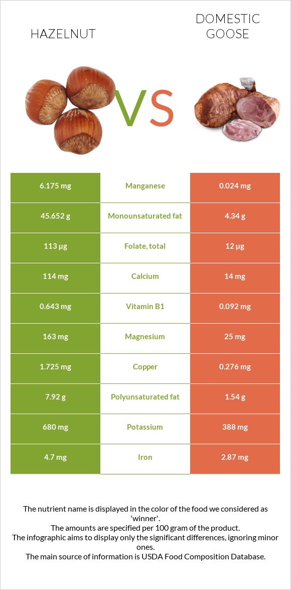 Hazelnut vs Domestic goose infographic