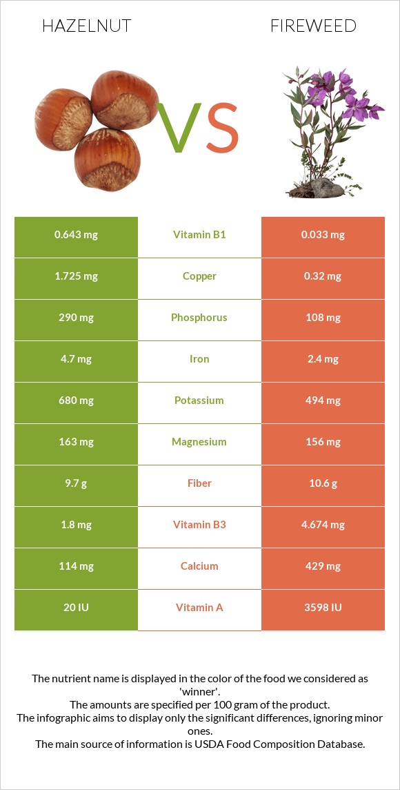 Hazelnut vs Fireweed infographic