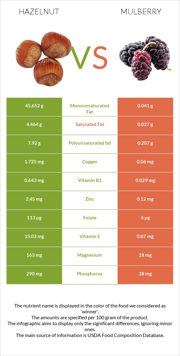 Hazelnut vs Mulberry infographic