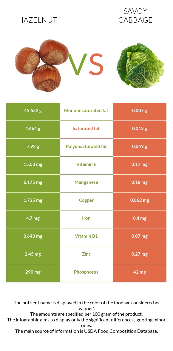 Hazelnut vs Savoy cabbage infographic