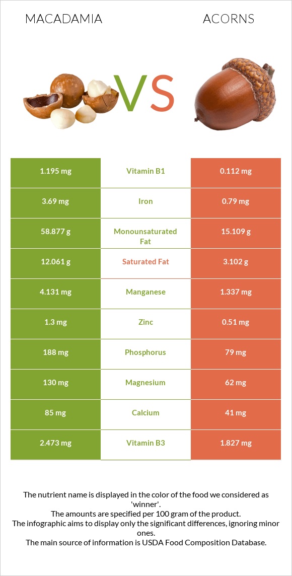Macadamia vs Acorns infographic
