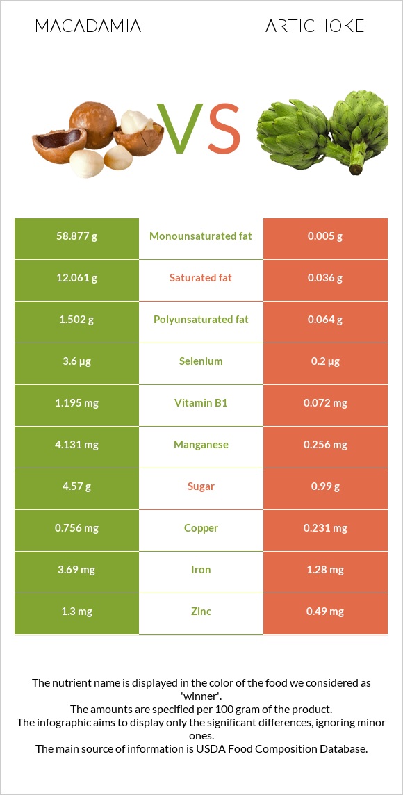 Macadamia vs Artichoke infographic