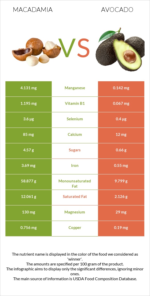 Macadamia vs Avocado infographic