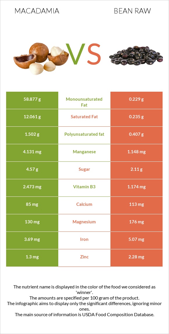 Macadamia vs Bean raw infographic