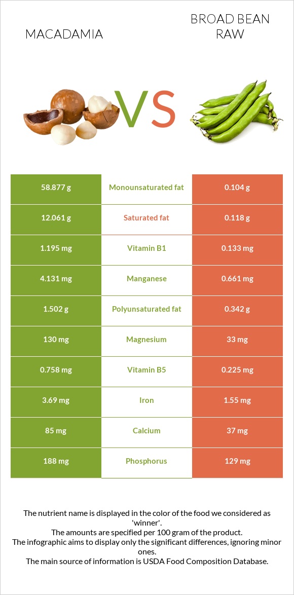 Macadamia vs Broad bean raw infographic