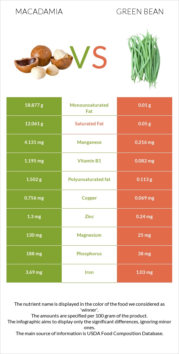 Macadamia vs Green bean infographic