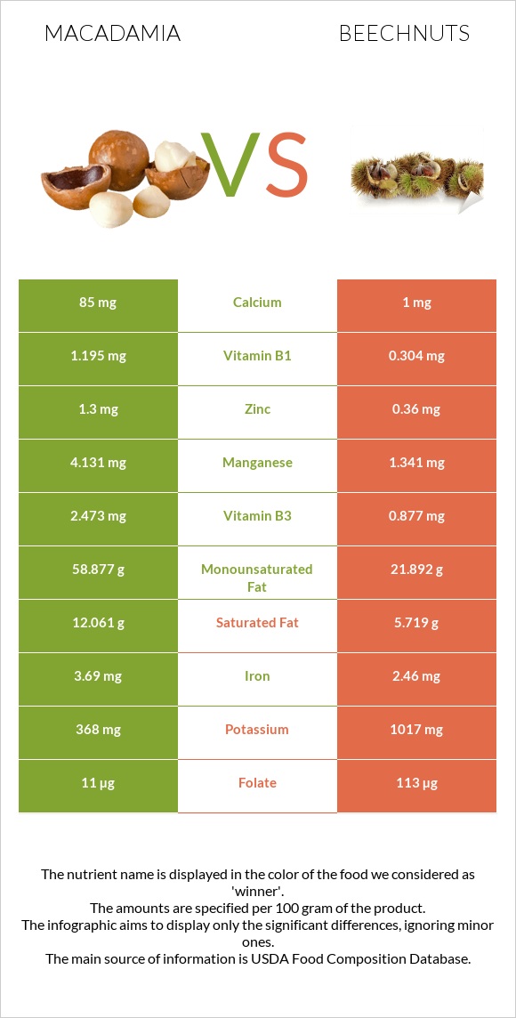 Macadamia vs Beechnuts infographic