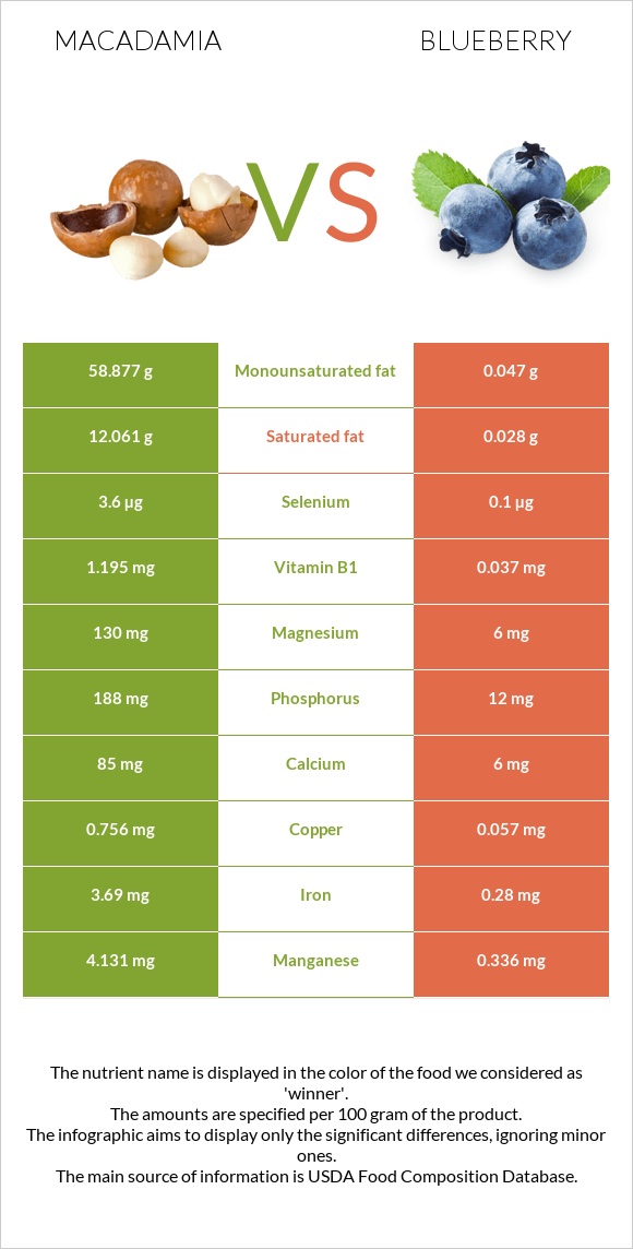Macadamia vs Blueberry infographic