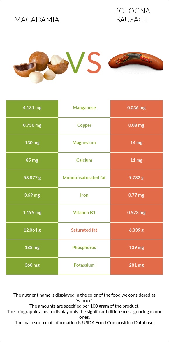 Մակադամիա vs Բոլոնիայի երշիկ infographic