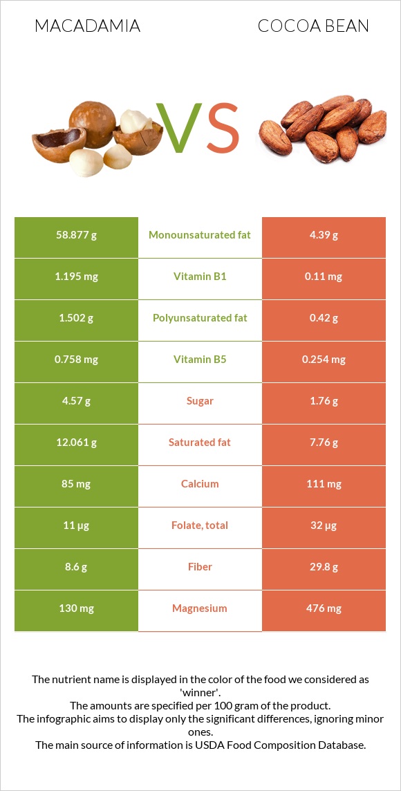 Macadamia vs Cocoa bean infographic