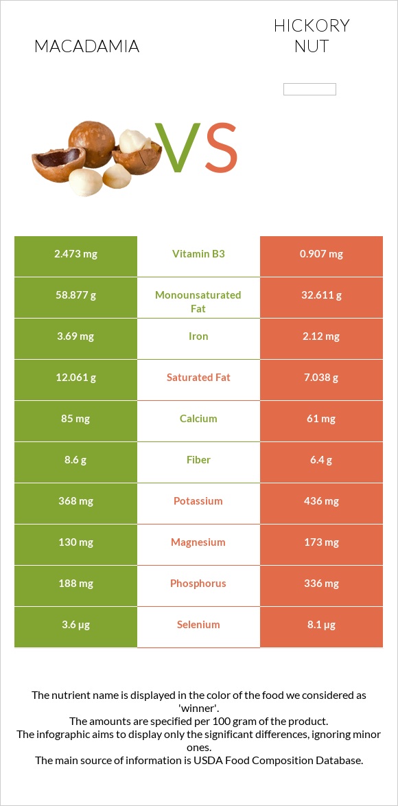 Macadamia vs Hickory nut infographic