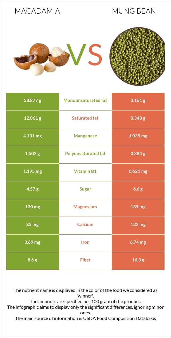 Մակադամիա vs Լոբի մունգ infographic