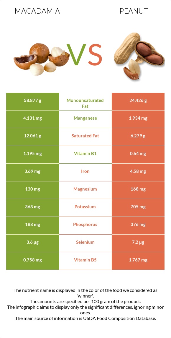 Macadamia vs Peanut infographic