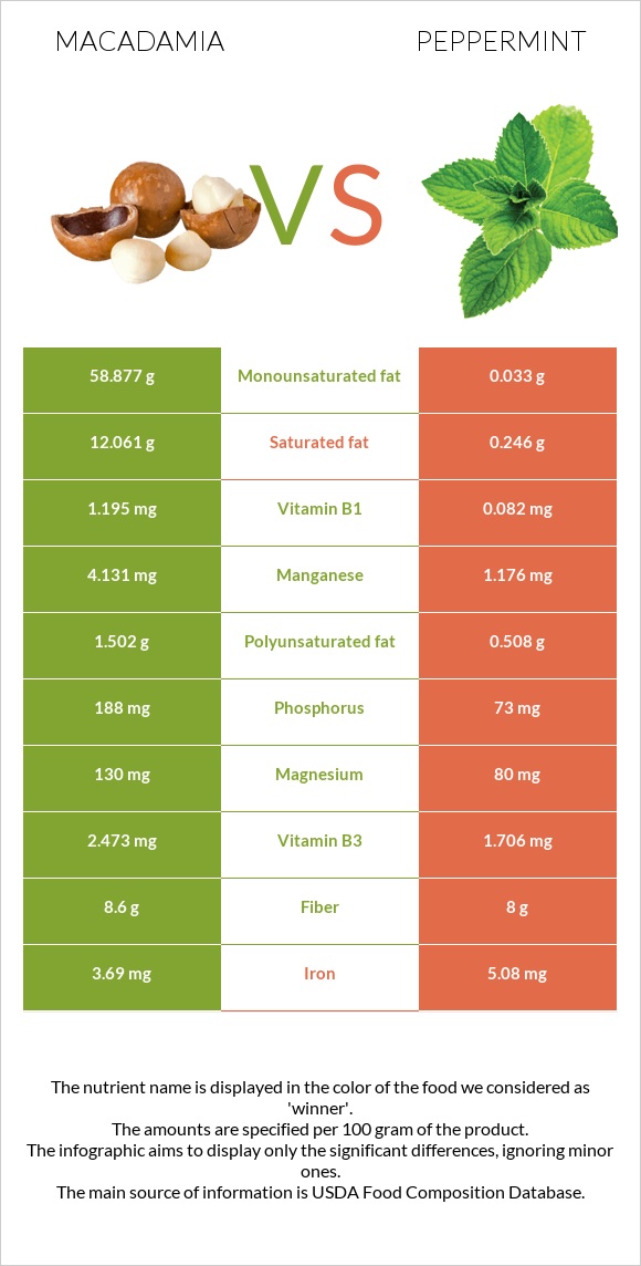 Macadamia vs Peppermint infographic