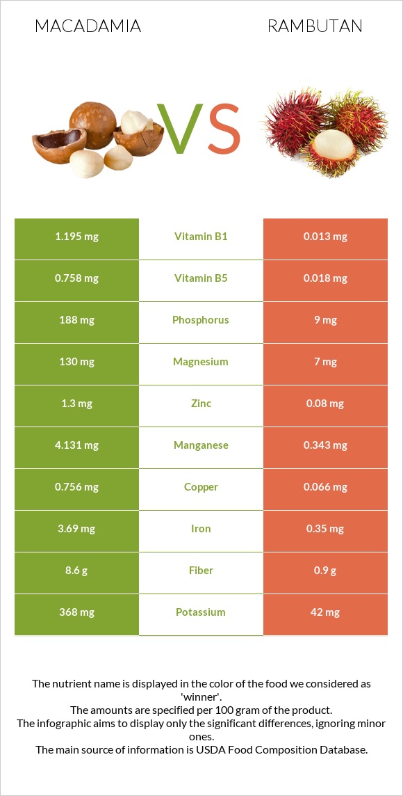 Macadamia vs Rambutan infographic