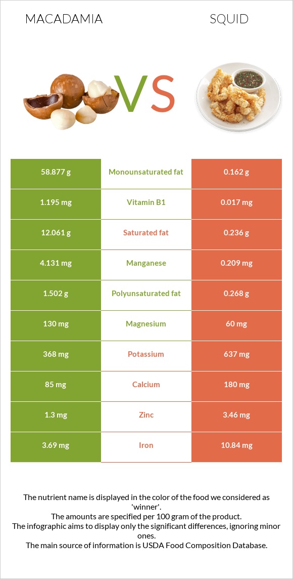 Macadamia vs Squid infographic