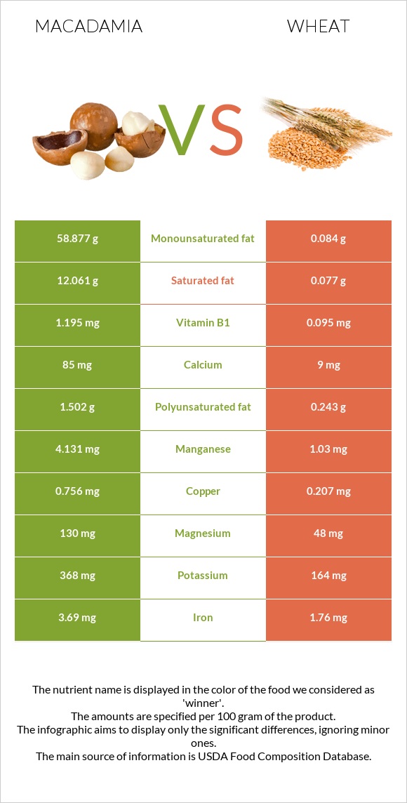 Macadamia vs Wheat infographic