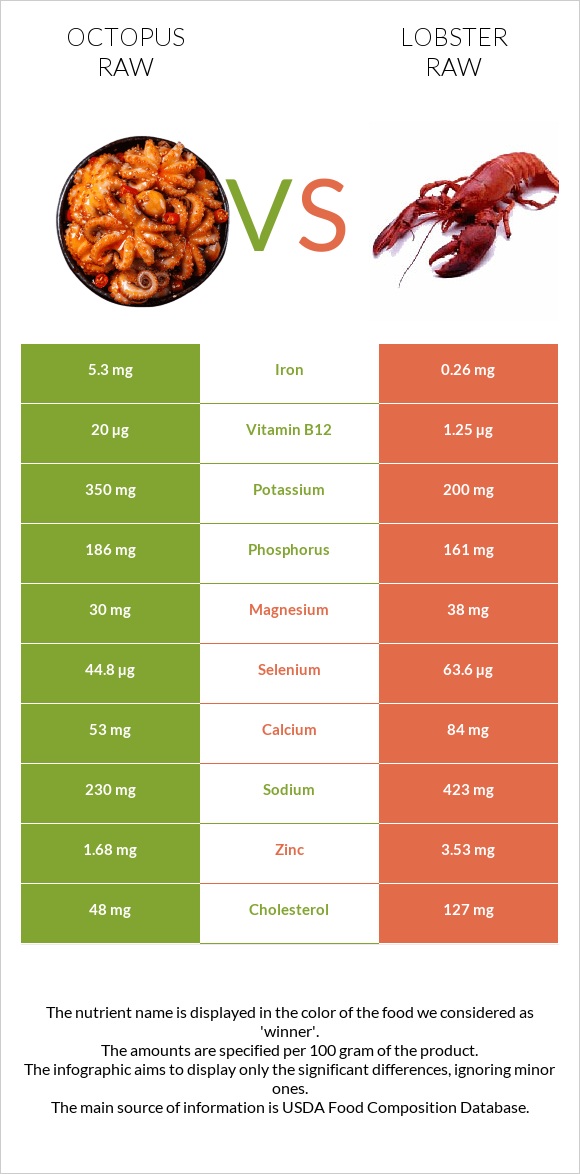 Octopus raw vs Lobster Raw infographic