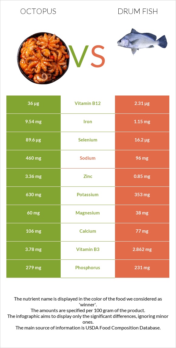 Octopus vs Drum fish infographic