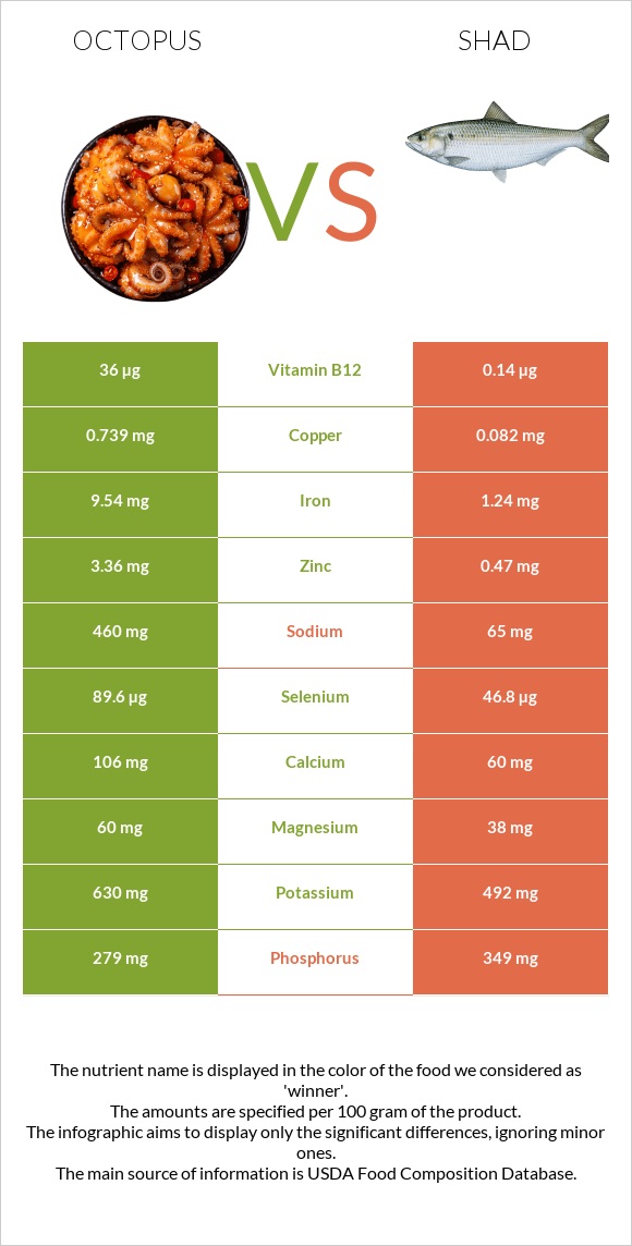 Octopus vs Shad infographic