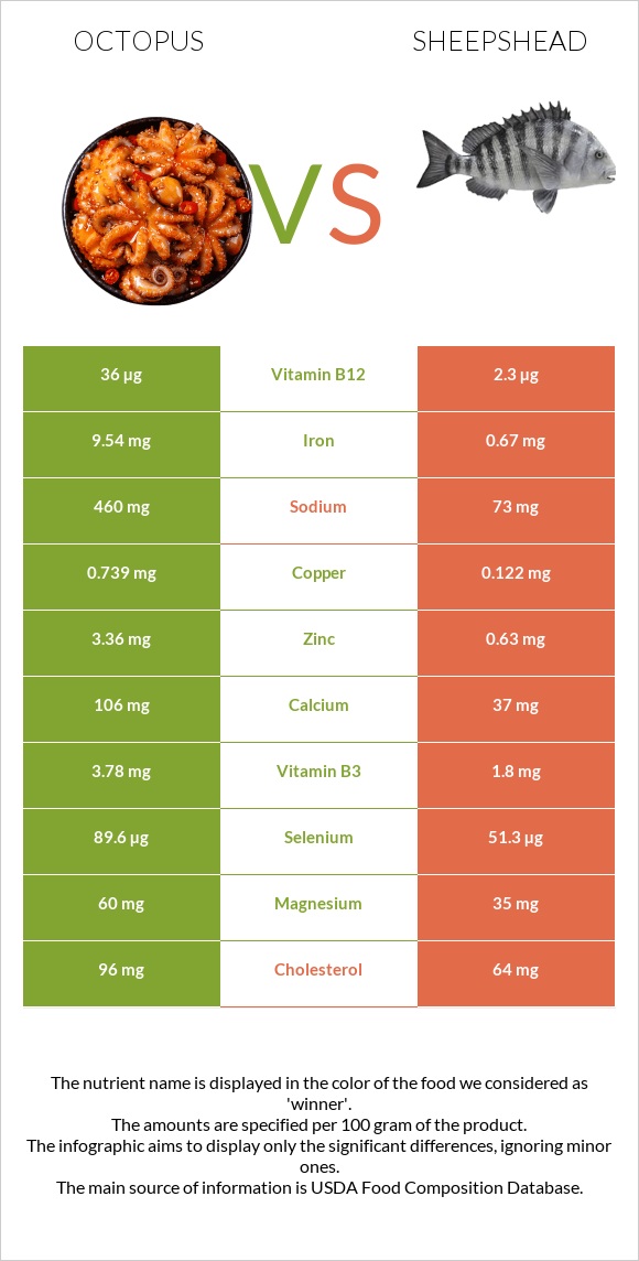 Octopus vs Sheepshead infographic