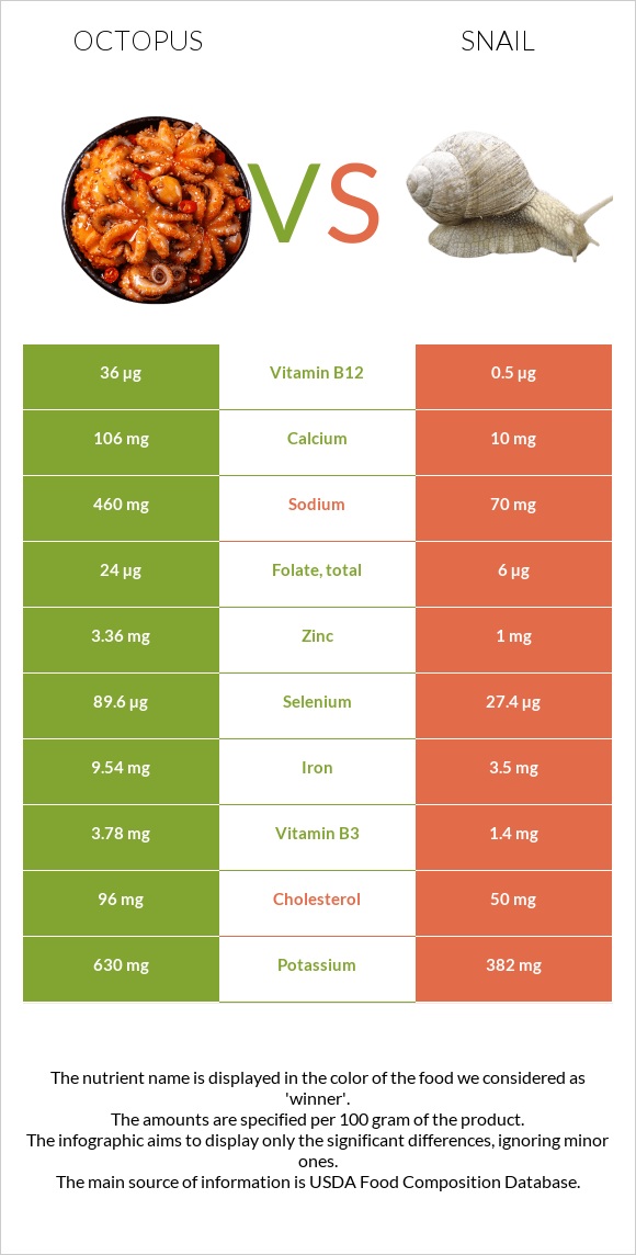 Octopus vs Snail infographic