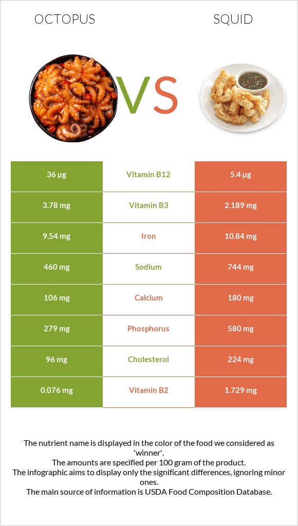 Octopus vs Տապակած կաղամար infographic