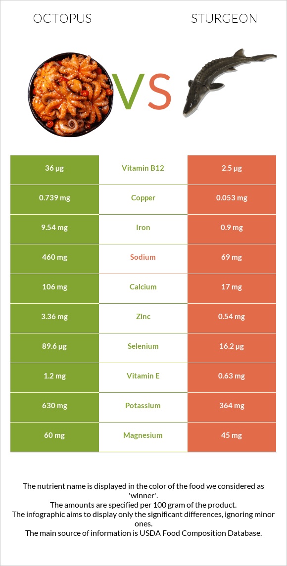 Octopus vs Sturgeon infographic