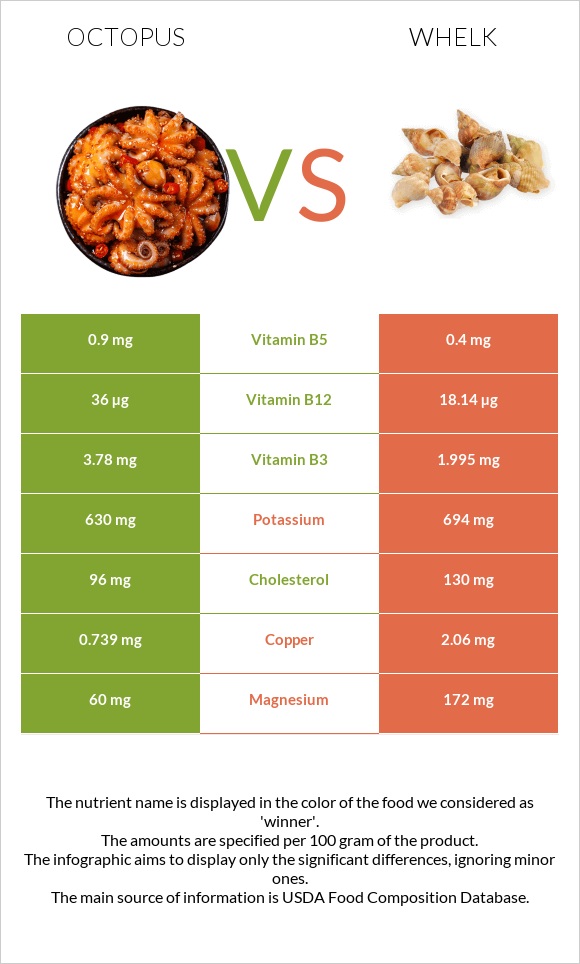 Octopus vs Whelk infographic