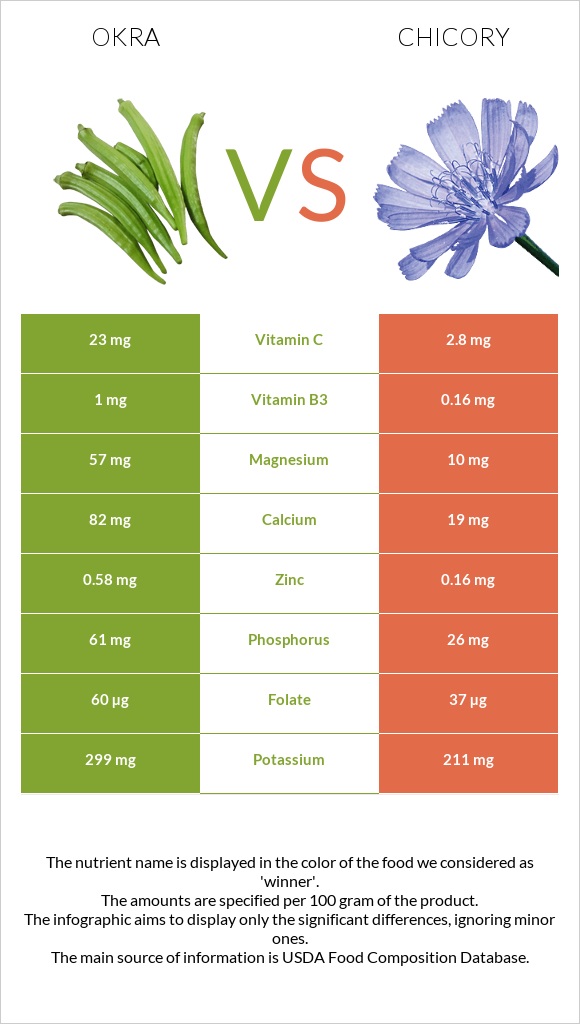 Okra vs Chicory infographic