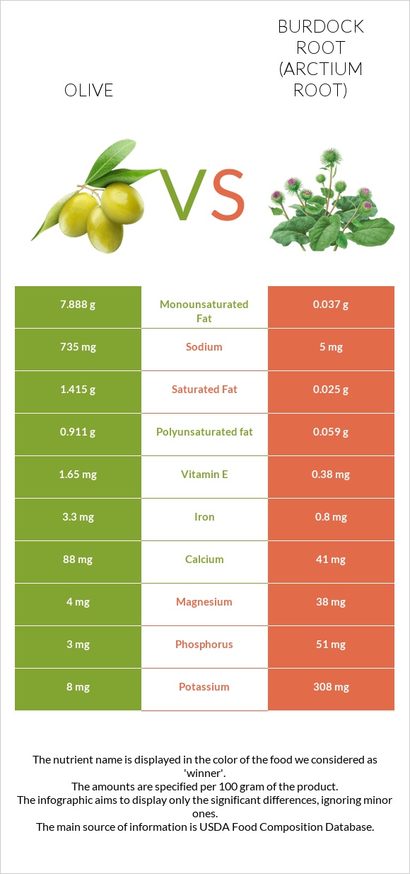 Olive vs Burdock root infographic