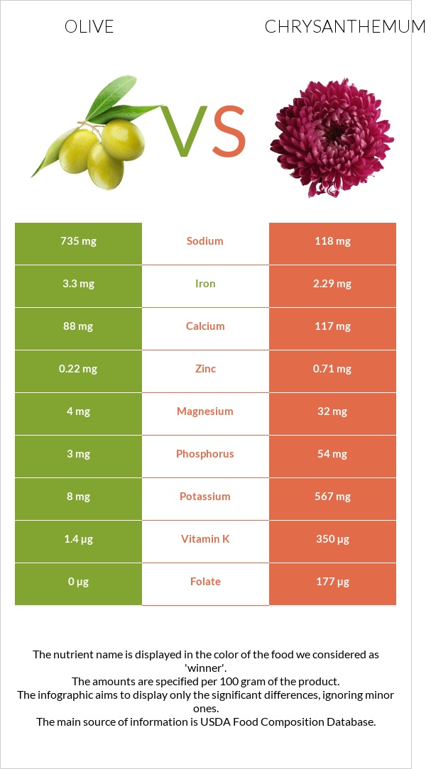 Olive vs Chrysanthemum infographic
